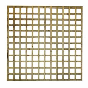 6ft Square Trellis Panel (1830 x 1830mm) - Pressure Treated